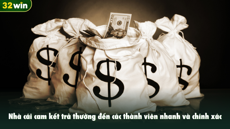 Nhà cái cam kết trả thưởng đến các thành viên nhanh và chính xác