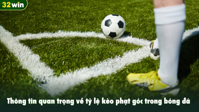 Thông tin quan trọng về tỷ lệ kèo phạt góc trong bóng đá